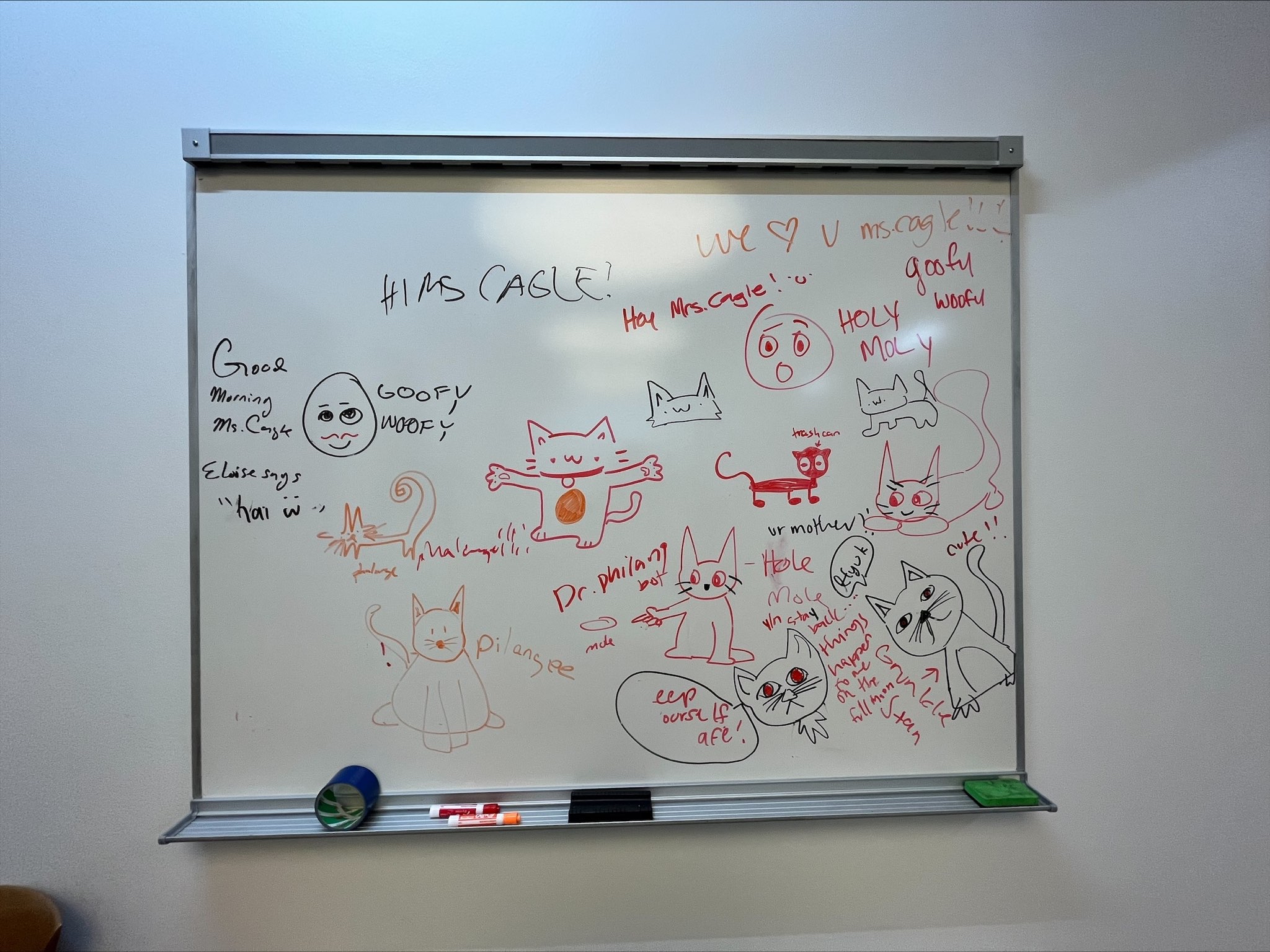 Catwhiteboard